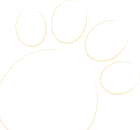 cat_paw